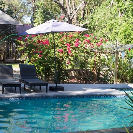 Acacia Cottage Maun Ngoại thất bức ảnh